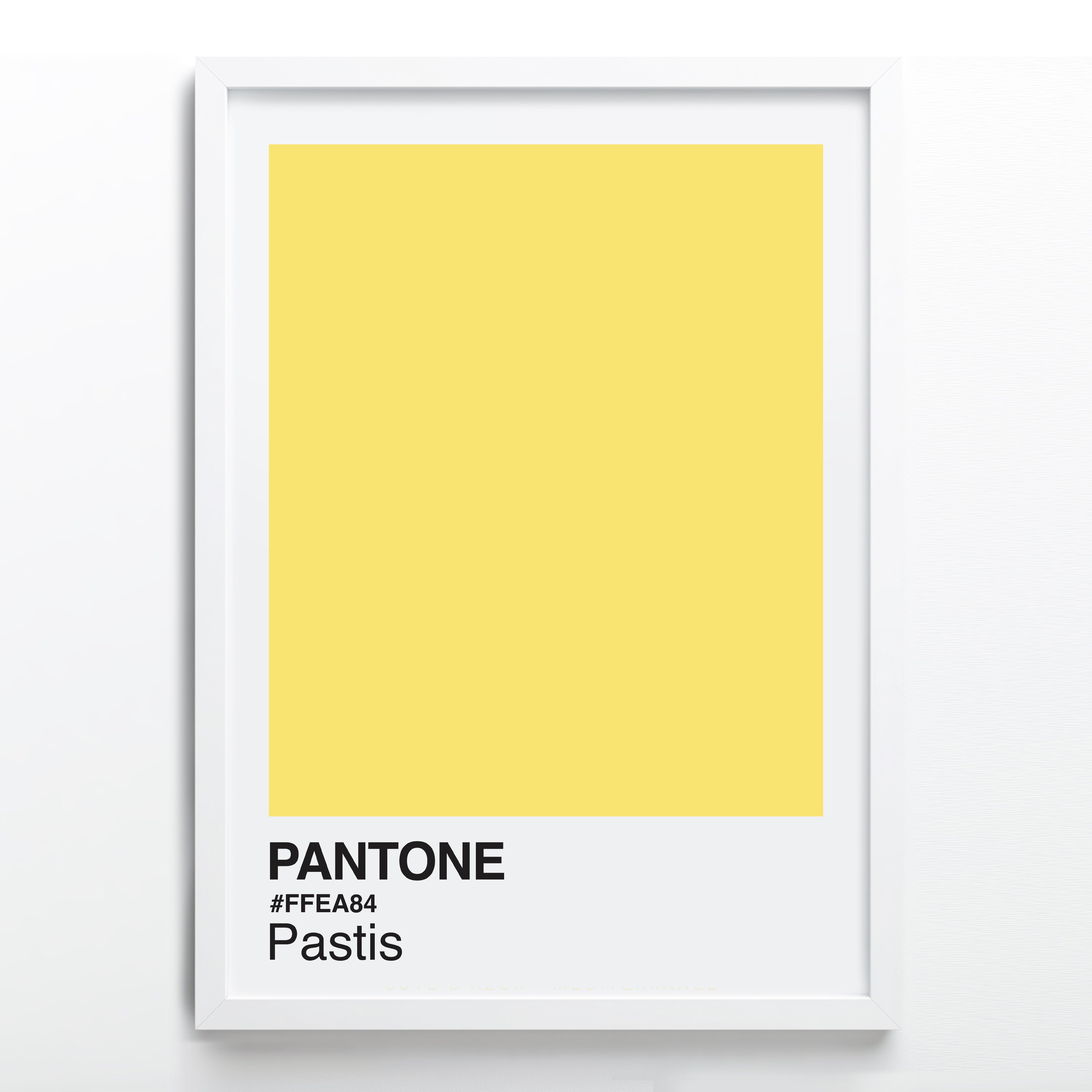 AFFICHE PASTIS PANTONE